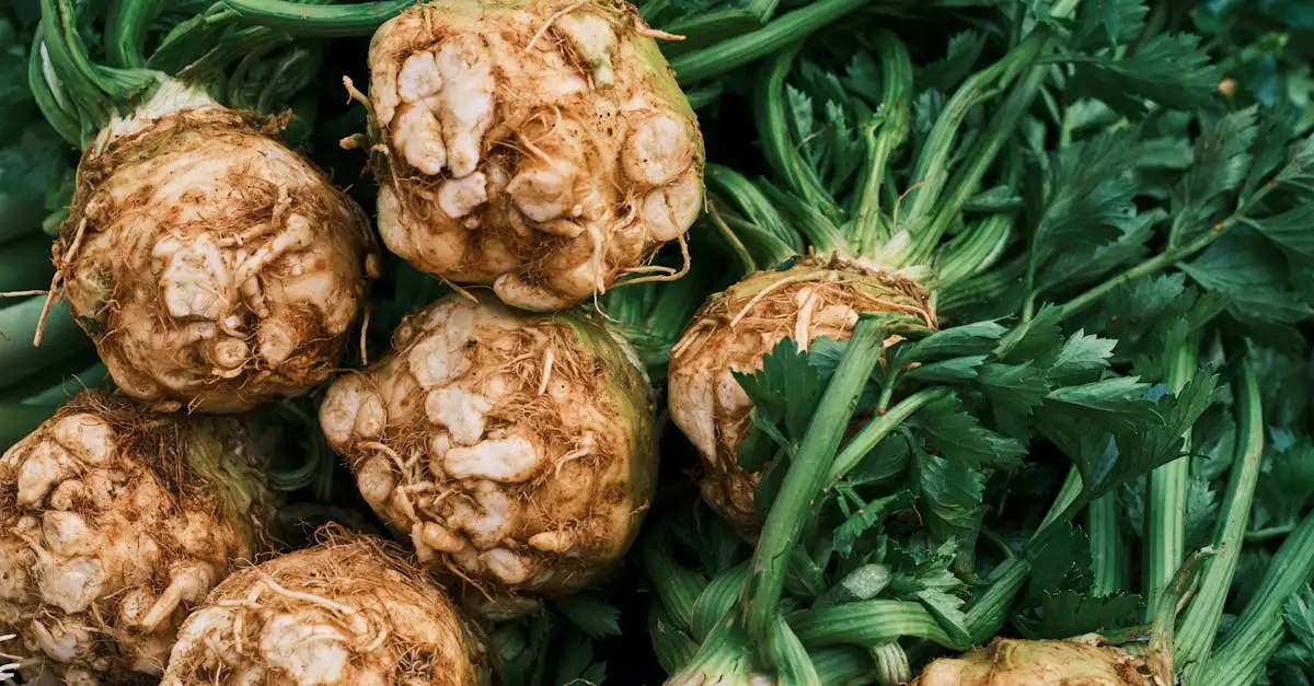 Aardappelpuree met knolselderij recept: heerlijk & makkelijk