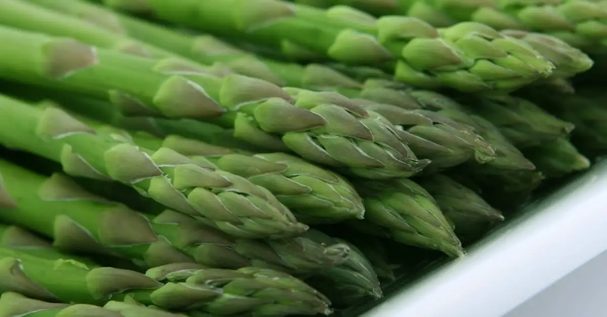 Asperges met mousselinesaus: Heerlijk recept!