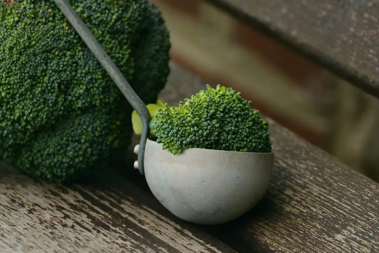 Broccoli en champignons recept: snel, makkelijk & heerlijk