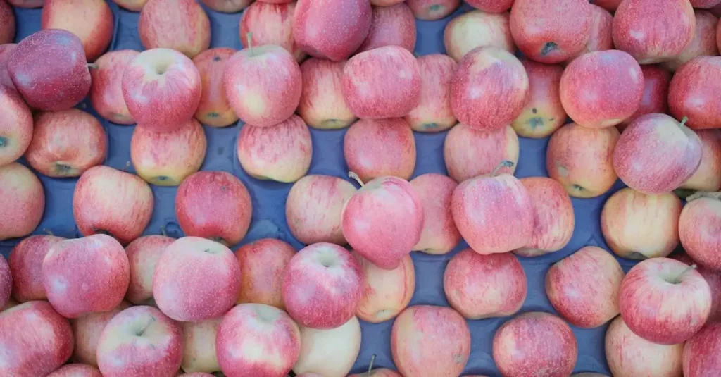 Pompoensoep met appel recept: eenvoudig & heerlijk!