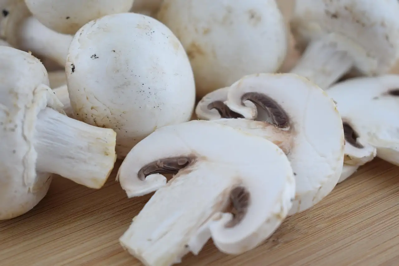 Poulet met champignons recept: Heerlijk & eenvoudig!