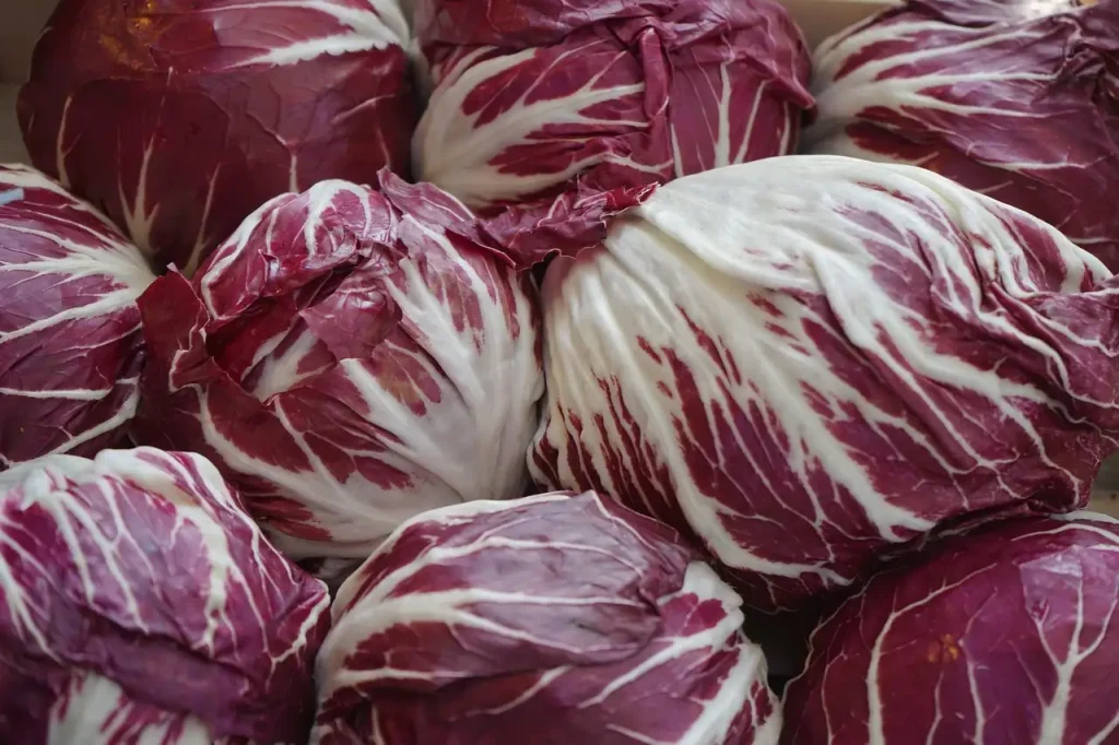 Radicchio Recepten: Smaakvolle Gerechten met Radicchio