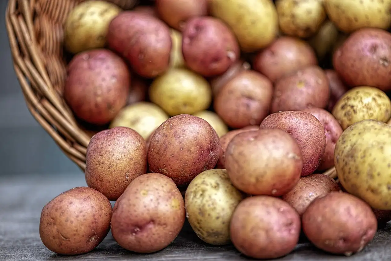 Recept met nieuwe aardappelen: Heerlijke & eenvoudige ideeën