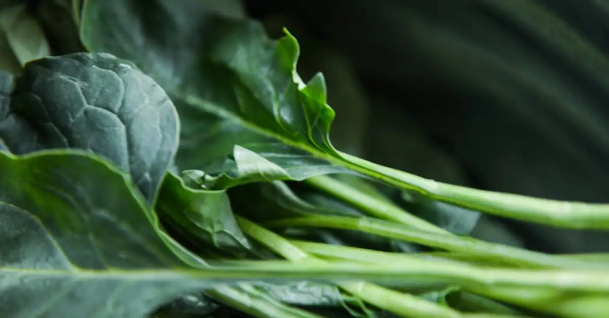 Stamppot boerenkool met knolselderij recept | Lekker en simpel