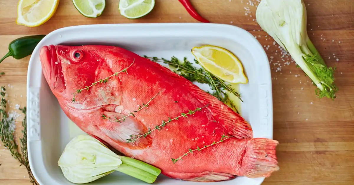 Venkel en vis recepten | Makkelijk & heerlijk koken