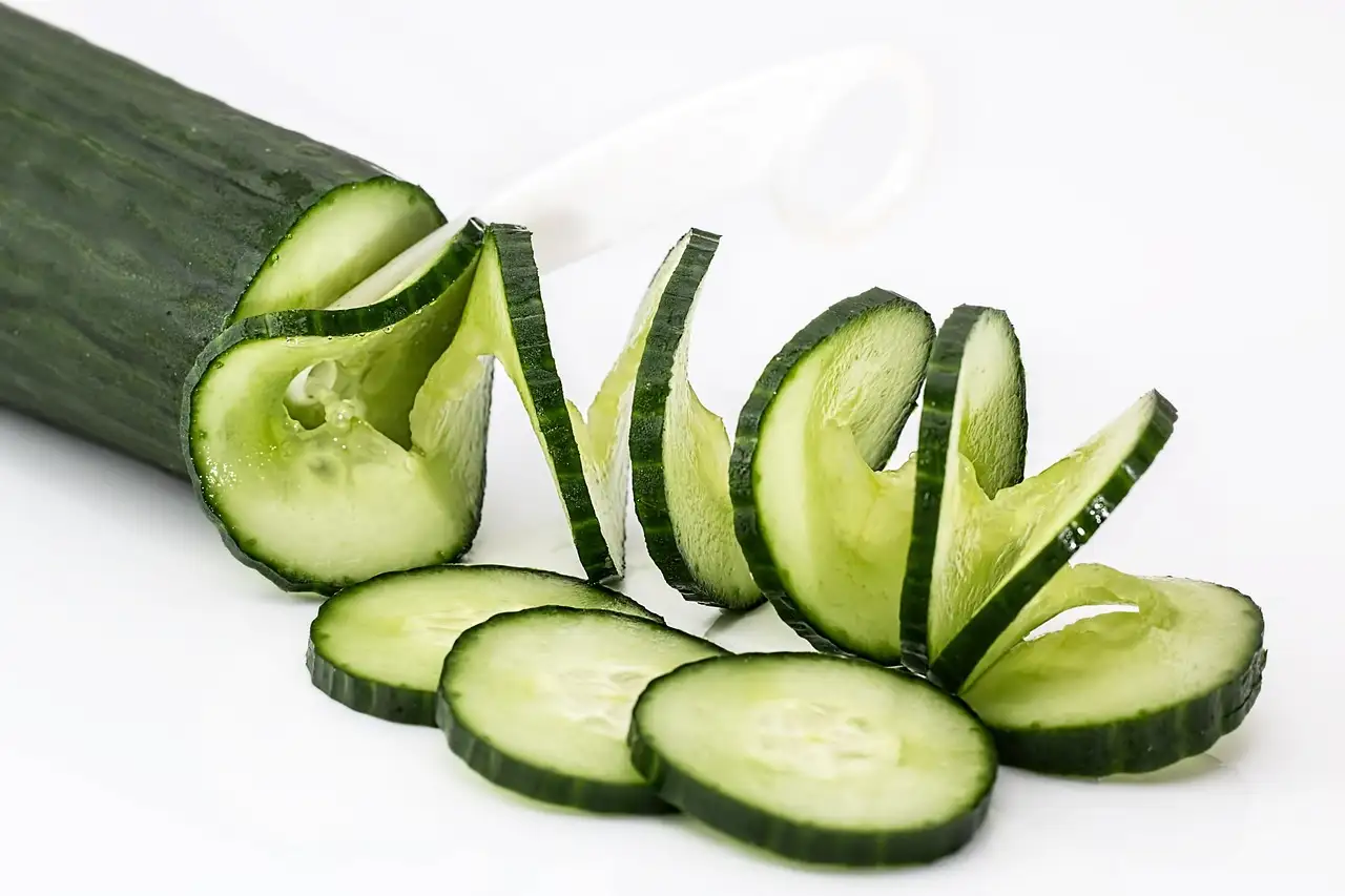 Verse zalmsalade met komkommer recept | Makkelijk & snel
